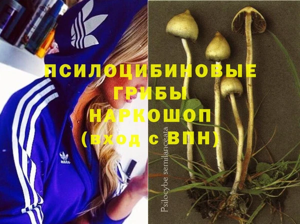 mix Баксан