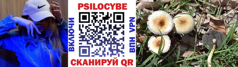 Галлюциногенные грибы мицелий  Голицыно 